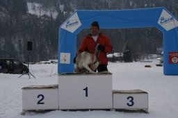 Lenk 2012 SM